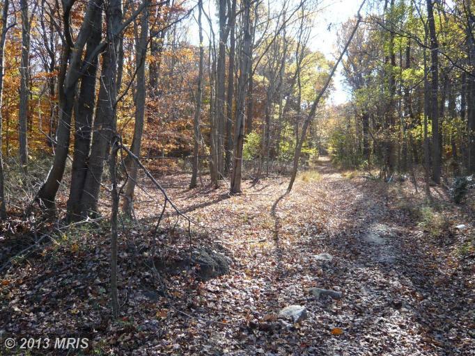 10617 OLD COLCHESTER ROAD, Lorton, VA 22079 