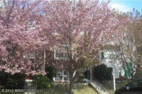 14085 GERALDINE COURT, Woodbridge, VA 22193 