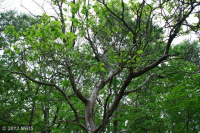 ELEYS FORD ROAD  14.88, Richardsville, VA 22736 