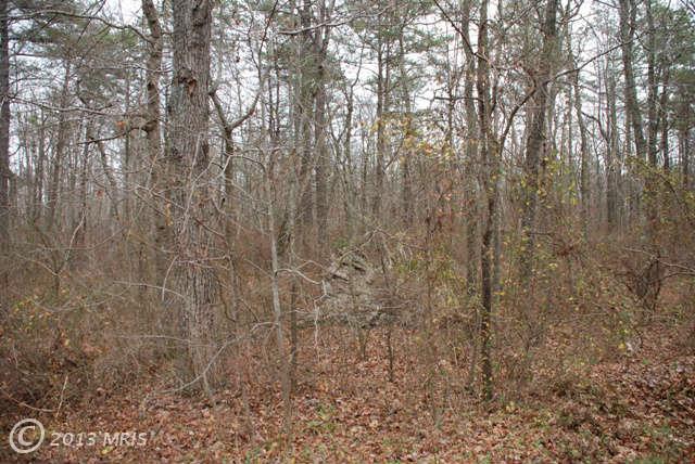 PLANTATION DRIVE, Spotsylvania, VA 22551 