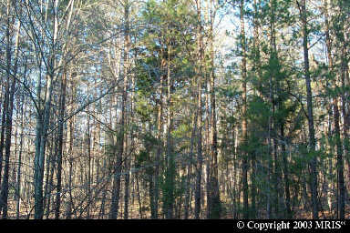 12903 BIVOUAC COURT, Spotsylvania, VA 22551 