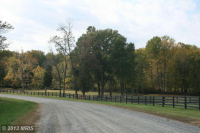 9950 ALYDAR COURT, Nokesville, VA 20181 