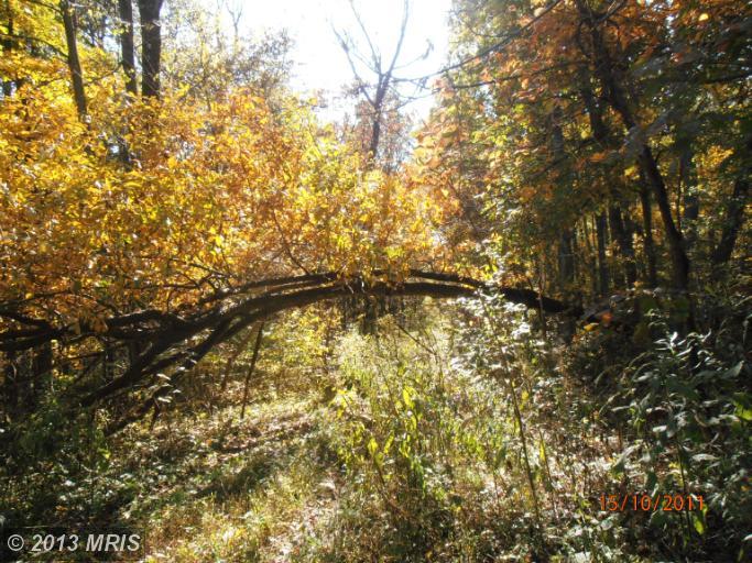 18 AXTON LANE MOUNTAINS, Linden, VA 22642 