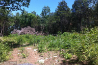 0 THUNDERBIRD ROAD, Front Royal, VA 22630 