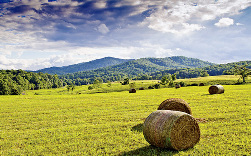 1790 Bundoran Drive, North Garden, VA 22959 