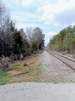 0 Butler Farm Rd, Chase City, VA 23924 