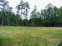 9733 Cragmont Drive, Richmond, VA 23238 