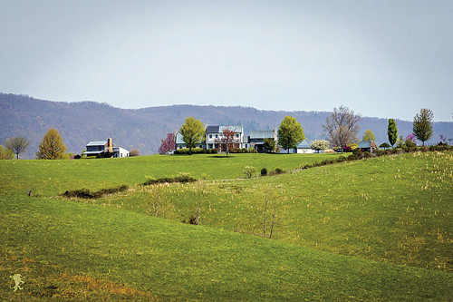 700 Brach Lane, Raphine, VA 24472 