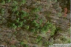 Old Ferrum, Ferrum, VA 24088 