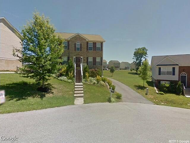 Aster, Christiansburg, VA 24073 