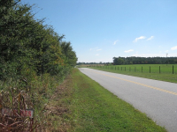 Guinea, Farmville, VA 23901 