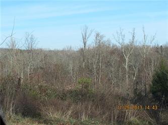 00 Wright Rd, Amelia Court House, VA 23002 