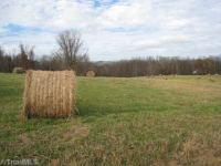 T164 GREENBERRY RD., Fancy Gap, VA 24328 