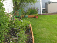 26111 South 288th St #39, Federal Way, WA 98003 