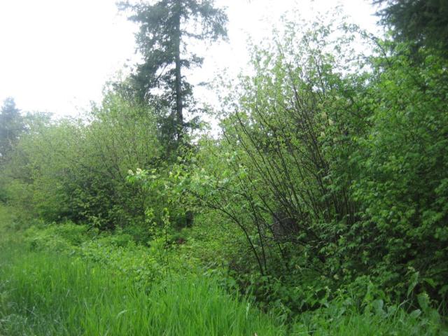 154xx NE GRANTHAM RD, AMBOY, WA 98601 