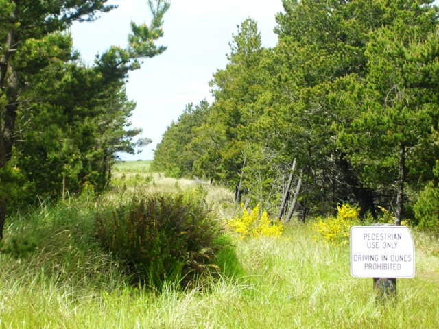 LT 131 - PROP W 3 &amp;4 TRAC 14, LONG BEACH, WA 98631 