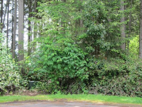 51st St W, University Place, WA 98466 