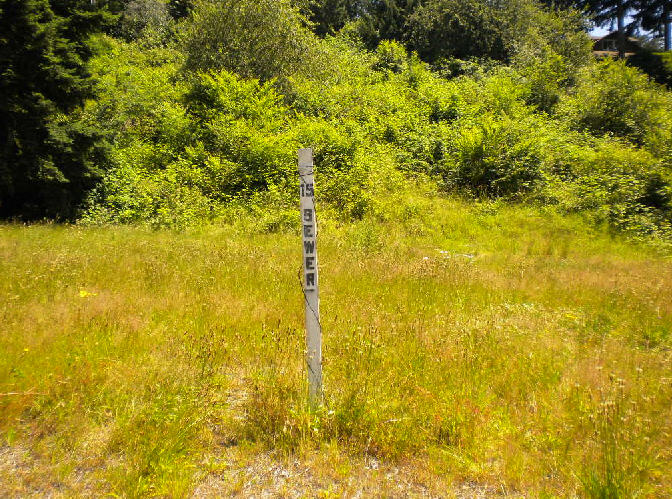 Apn 172406 9069, Sammamish, WA 98075 