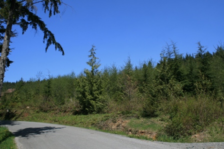 LOT 1 LAKE CAVANAUGH, MOUNT VERNON, WA 98274 