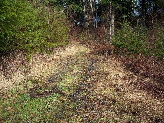 153 Broken Arrow Rd, Longview, WA 98632 