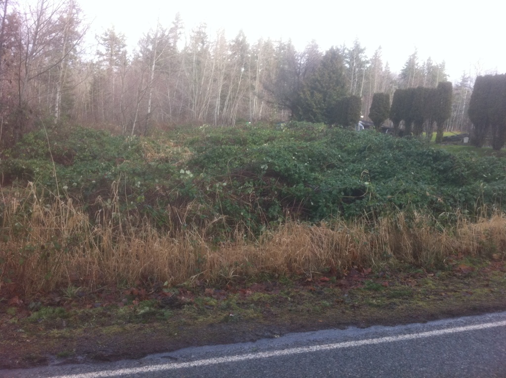 1719 Academy Road, Bellingham, WA 98226 