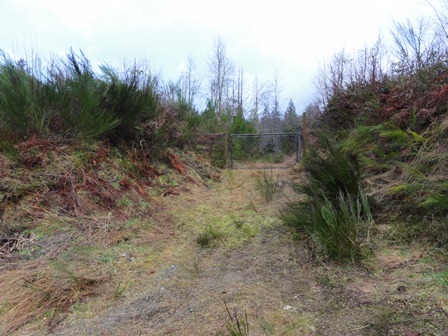 Xxxx 269th Ave, Issaquah, WA 98027 