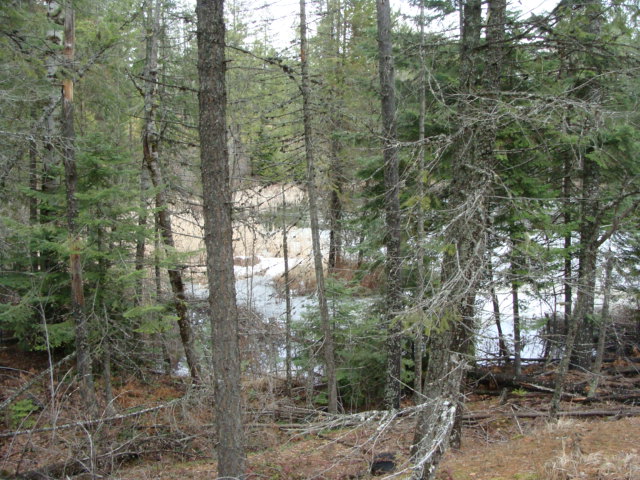 1032 Harworth, Newport, WA 99156 