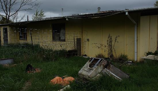 10404 299th St E, Graham, WA 98338 