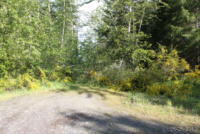 Apn# 0316041004 Forest Gr, Roy, WA 98580 