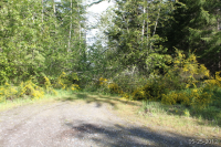 Apn# 0316041004 Forest Gr, Roy, WA 98580 