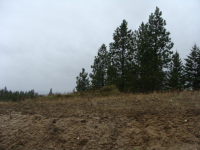 Apn# 472569055, Mead, WA 99021 
