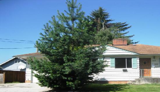 808 3rd Street Northeast, Puyallup, WA 98372 