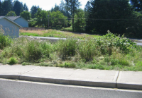 115 Cedar Crest, Napavine, WA 98565 