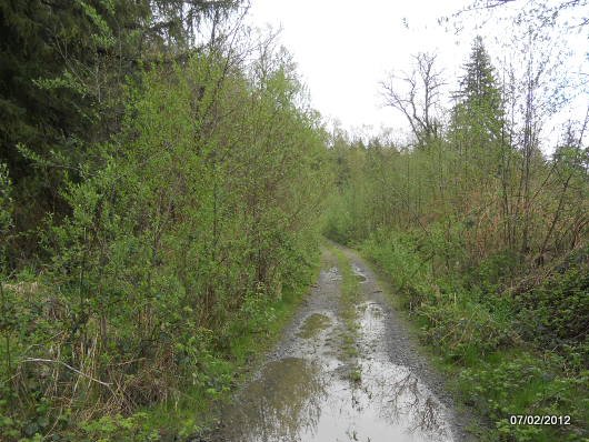 Lot 3 138th Street S, Gold Bar, WA 98251 