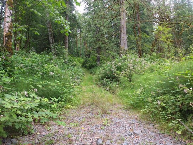 40404 70th Dr, Snoqualmie, WA 98065 