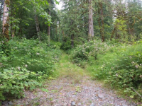 40404 70th Dr, Snoqualmie, WA 98065 