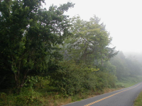 26505 Fern Bluff Rd, Monroe, WA 98272 