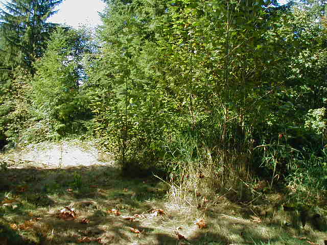 26400 172nd St, Issaquah, WA 98027 