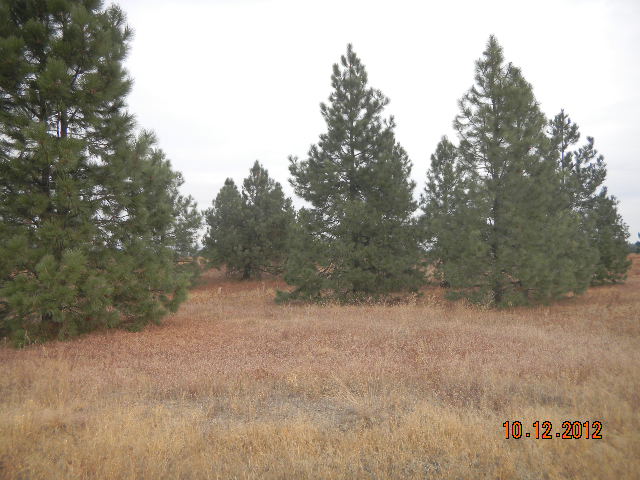 1600 Enoch Rd, Deer Park, WA 99006 