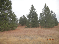 1600 Enoch Rd, Deer Park, WA 99006 