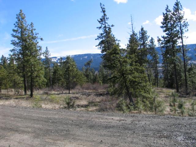 Lot 1 Lower Brookside, Cle Elum, WA 98922 