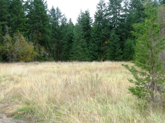 03-29 -03-240100, Sequim, WA 98382 