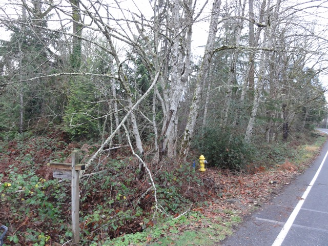 19600 314th Pl, Kent, WA 98042 