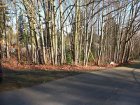 22630 Military Rd S, Seatac, WA 98198 