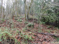 Lot 89 90 91 Se Mirr, Issaquah, WA 98027 