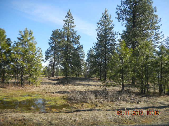 Apn 263129077, Spokane, WA 99224 