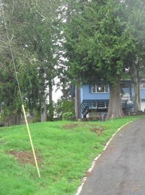 110 Heritage Dr, Elma, WA 98541 