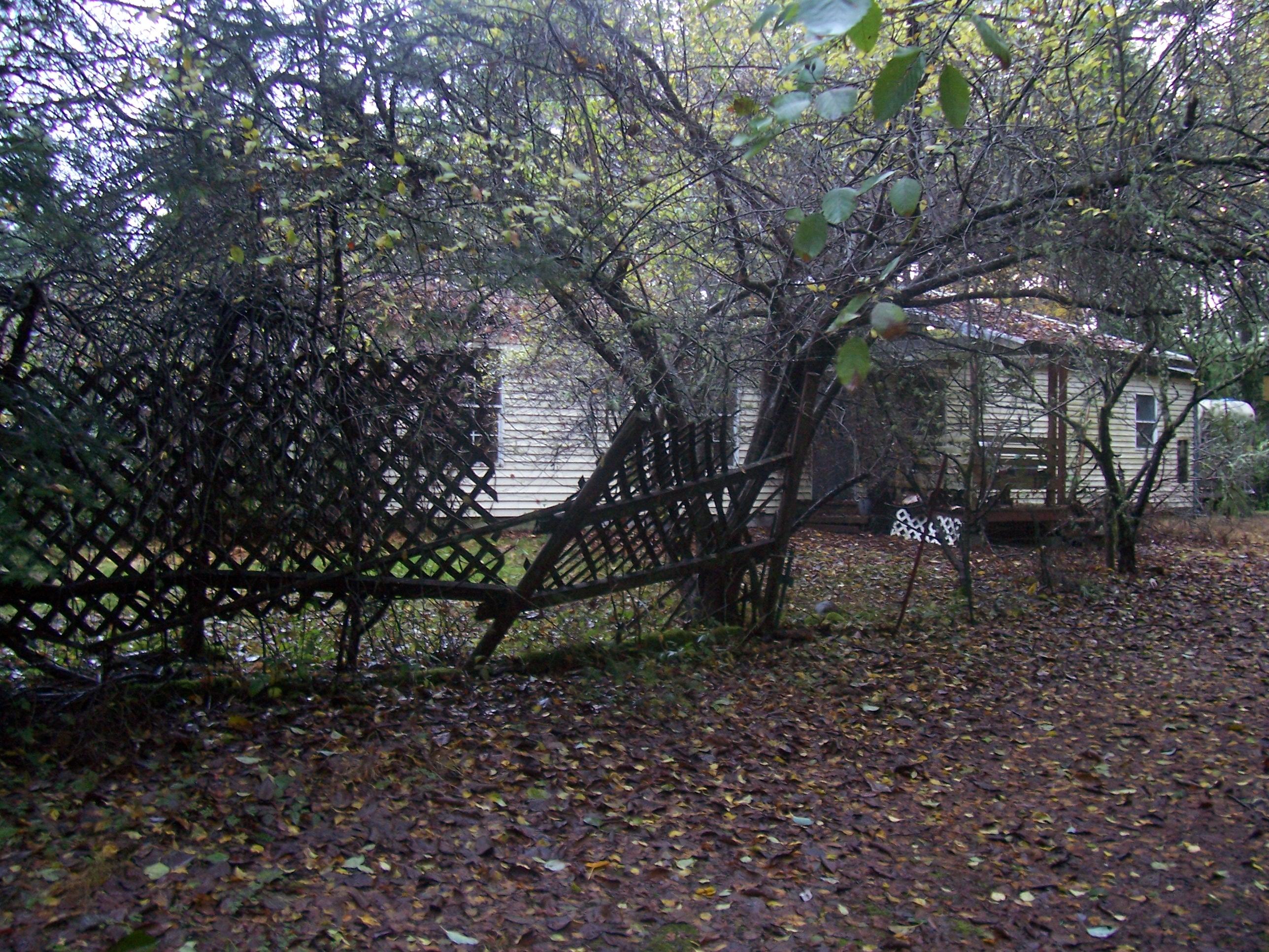 1217 Ozette Drive, Fox Island, WA 98333 