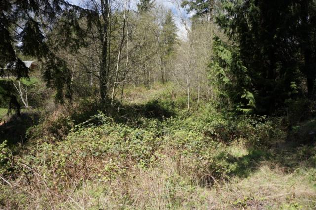 116 Goose Hollow Ln, Longview, WA 98632 