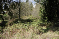 116 Goose Hollow Ln, Longview, WA 98632 